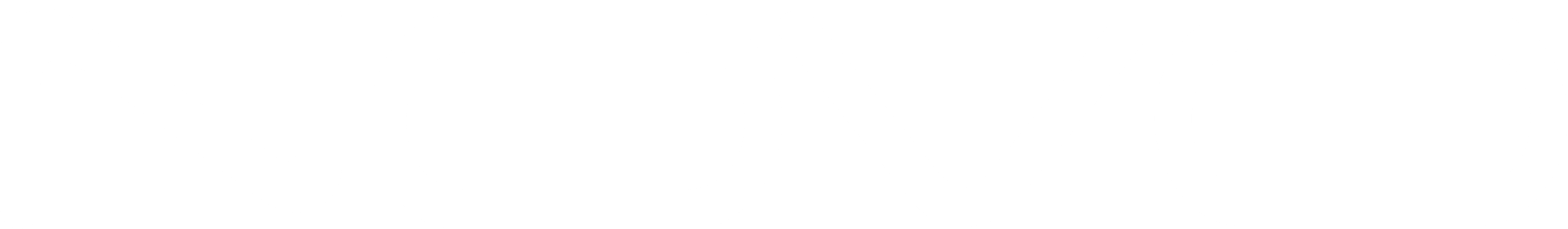 Novo Financial